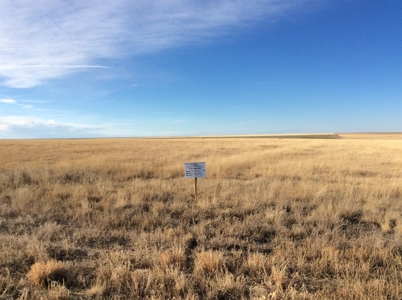 Bette Dolfi Trust Auction  - Cheyenne County Farmland - image 1