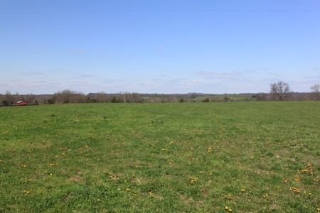 Land Auction,:Cattle Farm, County Home, & Equip At Auction - image 11