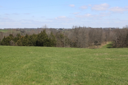 Land Auction,:Cattle Farm, County Home, & Equip At Auction - image 17