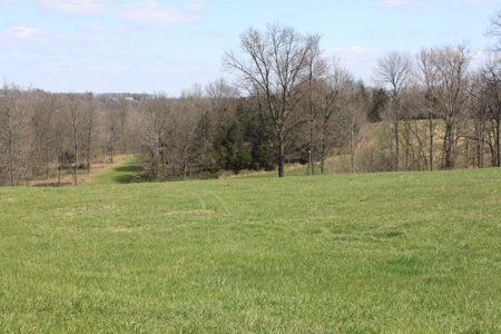 Land Auction,:Cattle Farm, County Home, & Equip At Auction - image 15