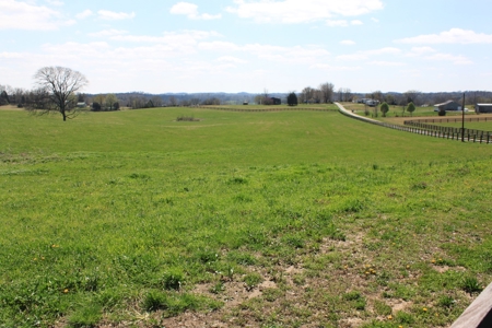 Land Auction,:Cattle Farm, County Home, & Equip At Auction - image 44