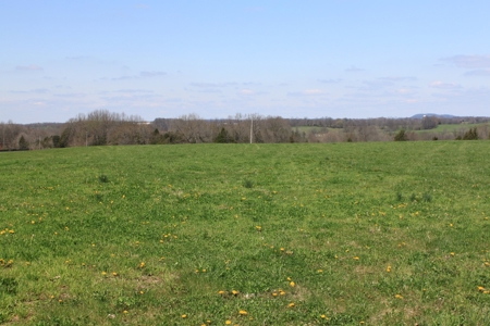 Land Auction,:Cattle Farm, County Home, & Equip At Auction - image 14