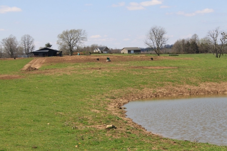 Land Auction,:Cattle Farm, County Home, & Equip At Auction - image 22