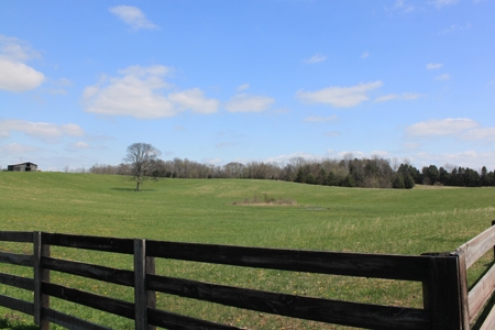 Land Auction,:Cattle Farm, County Home, & Equip At Auction - image 4
