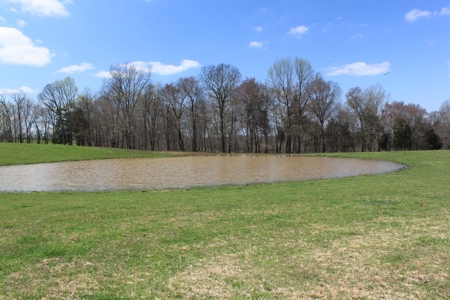 Land Auction,:Cattle Farm, County Home, & Equip At Auction - image 30