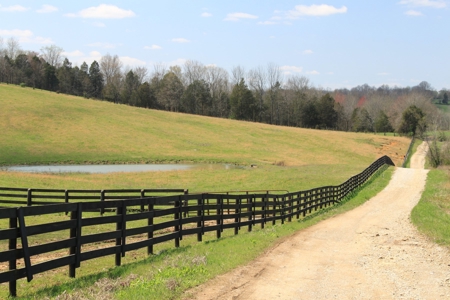 Land Auction,:Cattle Farm, County Home, & Equip At Auction - image 34