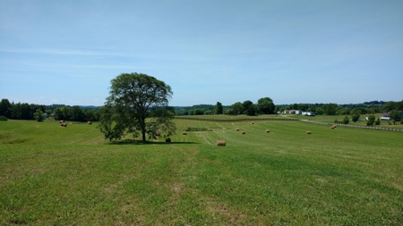 Land Auction,:Cattle Farm, County Home, & Equip At Auction - image 1