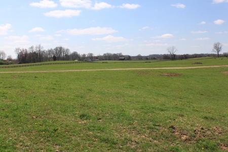 Land Auction,:Cattle Farm, County Home, & Equip At Auction - image 26