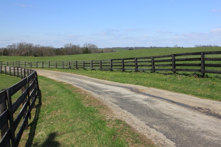 Land Auction,:Cattle Farm, County Home, & Equip At Auction - image 25