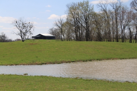 Land Auction,:Cattle Farm, County Home, & Equip At Auction - image 29
