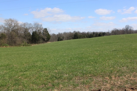 Land Auction,:Cattle Farm, County Home, & Equip At Auction - image 27