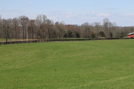 Land Auction,:Cattle Farm, County Home, & Equip At Auction - image 18