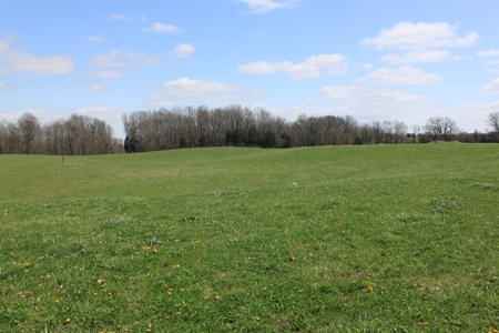 Land Auction,:Cattle Farm, County Home, & Equip At Auction - image 10