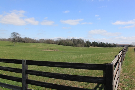 Land Auction,:Cattle Farm, County Home, & Equip At Auction - image 5