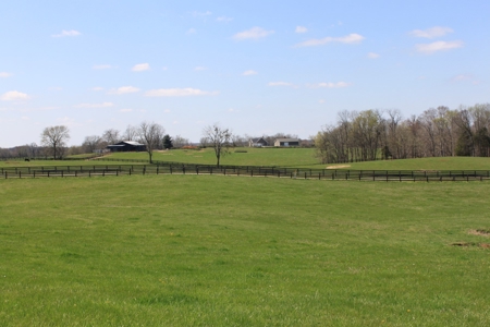 Land Auction,:Cattle Farm, County Home, & Equip At Auction - image 19