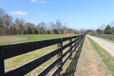 Land Auction,:Cattle Farm, County Home, & Equip At Auction - image 31