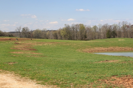 Land Auction,:Cattle Farm, County Home, & Equip At Auction - image 37