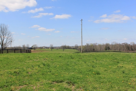 Land Auction,:Cattle Farm, County Home, & Equip At Auction - image 12