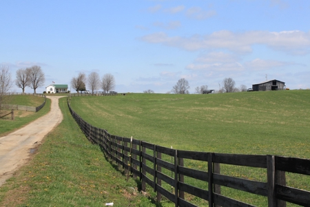 Land Auction,:Cattle Farm, County Home, & Equip At Auction - image 3