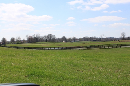 Land Auction,:Cattle Farm, County Home, & Equip At Auction - image 20
