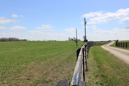 Land Auction,:Cattle Farm, County Home, & Equip At Auction - image 28