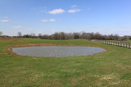 Land Auction,:Cattle Farm, County Home, & Equip At Auction - image 21