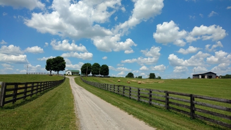 Land Auction,:Cattle Farm, County Home, & Equip At Auction - image 2