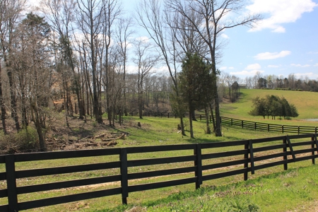 Land Auction,:Cattle Farm, County Home, & Equip At Auction - image 35