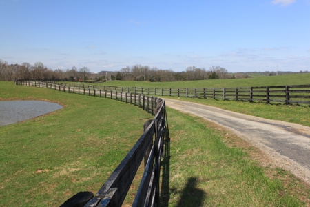Land Auction,:Cattle Farm, County Home, & Equip At Auction - image 23