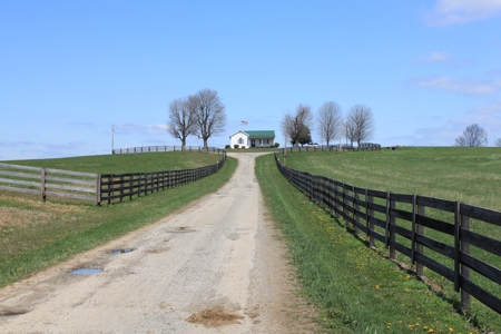 Land Auction,:Cattle Farm, County Home, & Equip At Auction - image 7
