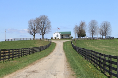 Land Auction,:Cattle Farm, County Home, & Equip At Auction - image 8