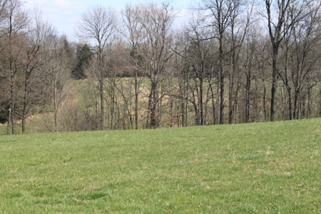 Land Auction,:Cattle Farm, County Home, & Equip At Auction - image 16