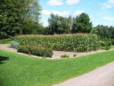 LIVE Real Estate Auction 14 Ac Hobby Farm Clark COUNTY, WI - image 7