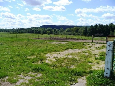LIVE Real Estate Auction 14 Ac Hobby Farm Clark COUNTY, WI - image 9