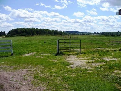 LIVE Real Estate Auction 14 Ac Hobby Farm Clark COUNTY, WI - image 10