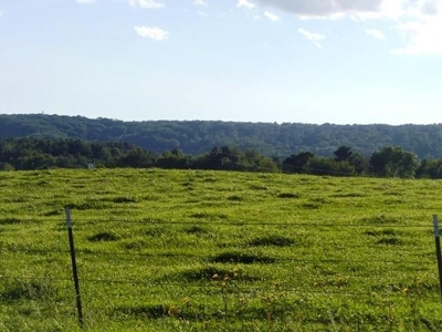 LIVE Real Estate Auction 14 Ac Hobby Farm Clark COUNTY, WI - image 8