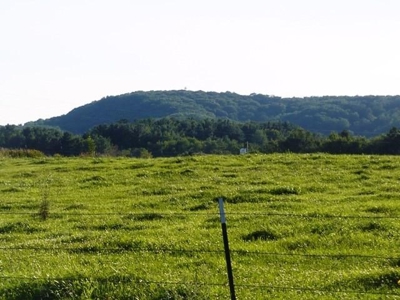 LIVE Real Estate Auction 14 Ac Hobby Farm Clark COUNTY, WI - image 1