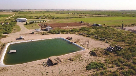Texas Multi-Purpose Ranch Auction - image 10