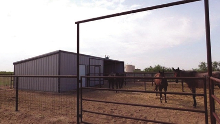 Texas Multi-Purpose Ranch Auction - image 5