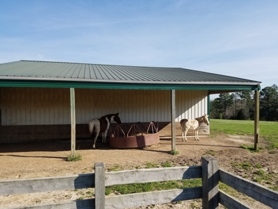 Bed and Breakfast For Sale in Southern Missouri Ozarks - image 15