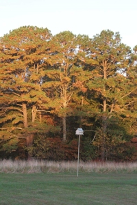 Bed and Breakfast For Sale in Southern Missouri Ozarks - image 10