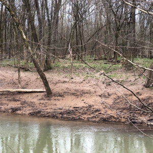 Country Home, Guest House ,Creek Frontage & 34 Acres in KY - image 24
