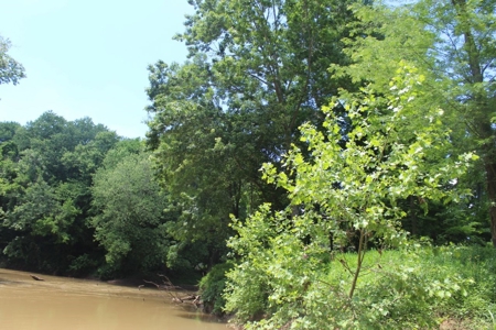 Country Home, Guest House ,Creek Frontage & 34 Acres in KY - image 49