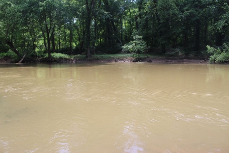 Country Home, Guest House ,Creek Frontage & 34 Acres in KY - image 41