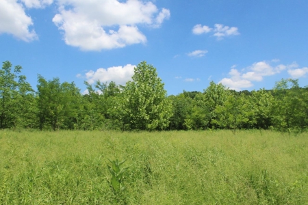 Country Home, Guest House ,Creek Frontage & 34 Acres in KY - image 29