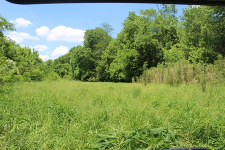 Country Home, Guest House ,Creek Frontage & 34 Acres in KY - image 50