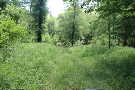 Country Home, Guest House ,Creek Frontage & 34 Acres in KY - image 37