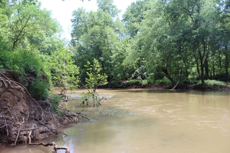 Country Home, Guest House ,Creek Frontage & 34 Acres in KY - image 42