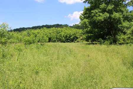 Country Home, Guest House ,Creek Frontage & 34 Acres in KY - image 30
