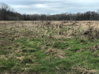 Country Home, Guest House ,Creek Frontage & 34 Acres in KY - image 21